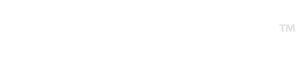 Goomee™ The Markless Hair Loop